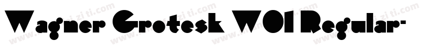 Wagner Grotesk W01 Regular字体转换